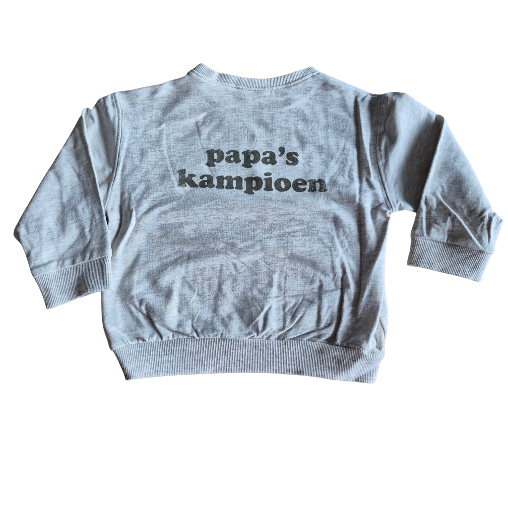 JBC Cuddles and Smiles - Sweater - Maat 86