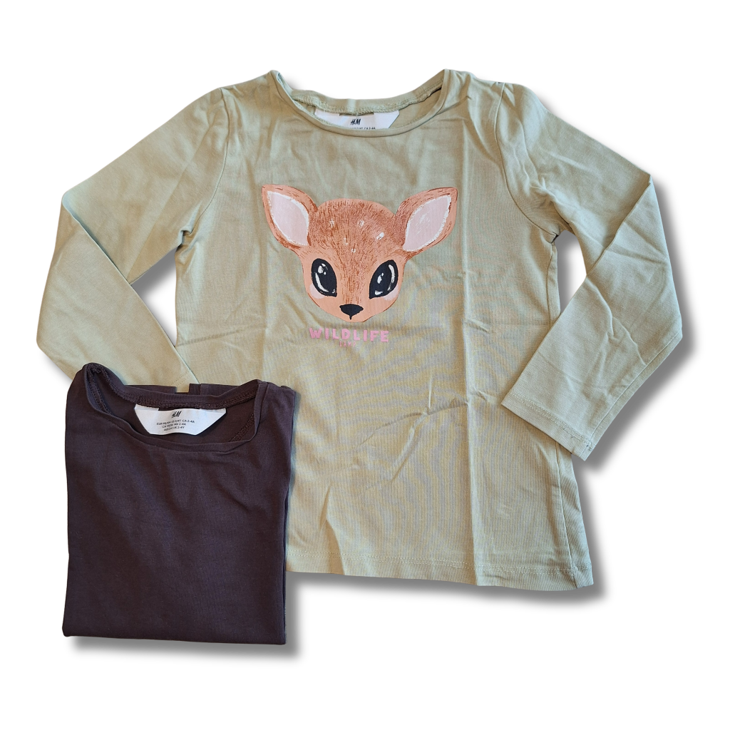 H&M - Longsleeves (2st) - Maat 98/104