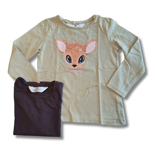 H&M - Longsleeves (2st) - Maat 98/104