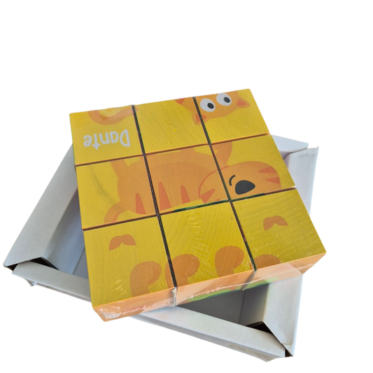 Hape - Vriendschaps Blokpuzzel - 24M+